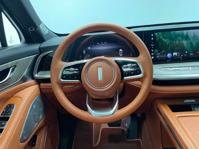 Wey Lanshan — Фото автомобиля 13