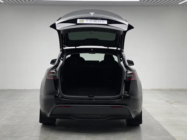 Tesla Model Y — Фото автомобиля 10