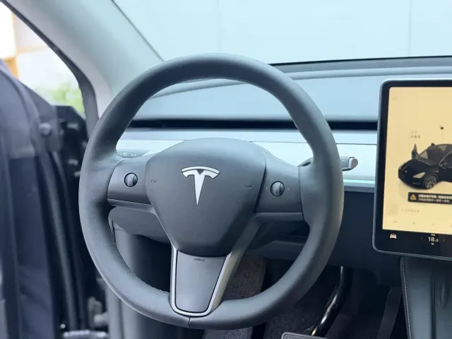 Tesla Model Y — Фото автомобиля 8