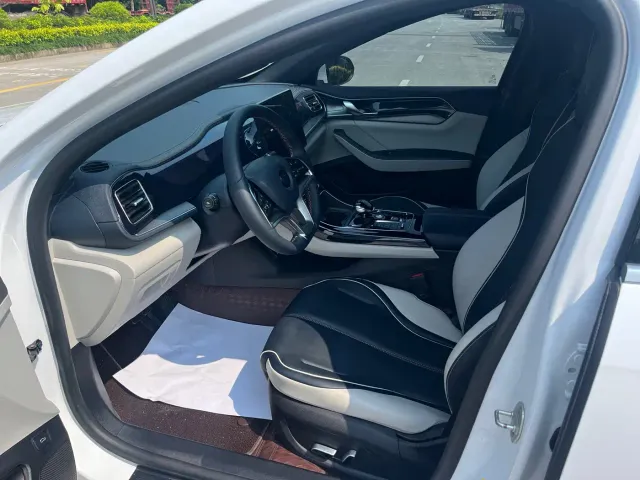 BYD Qin PLUS — Фото автомобиля 8