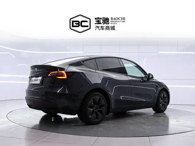 Tesla Model Y — Фото автомобиля 3