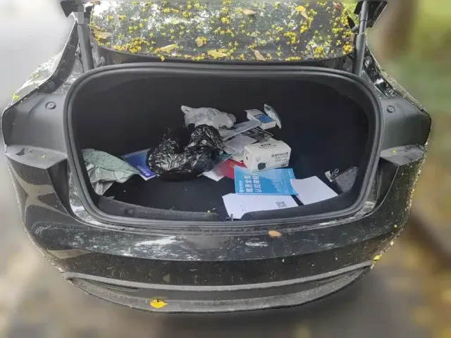 Tesla Model 3 — Фото автомобиля 15