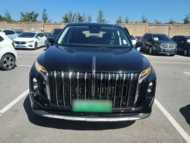 Hongqi HS7 PHEV — Фото автомобиля 2