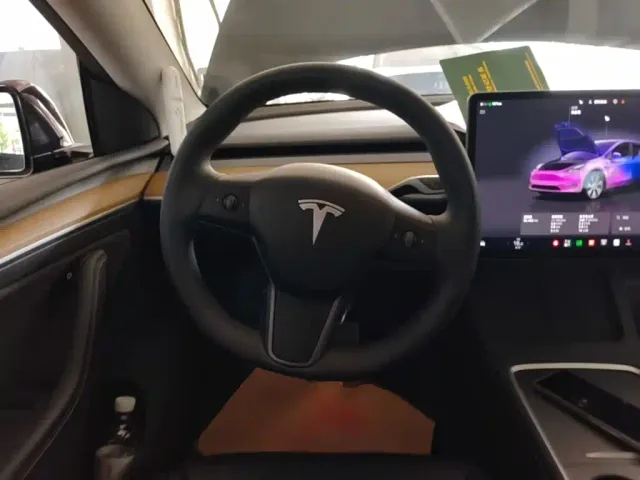 Tesla Model Y — Фото автомобиля 10