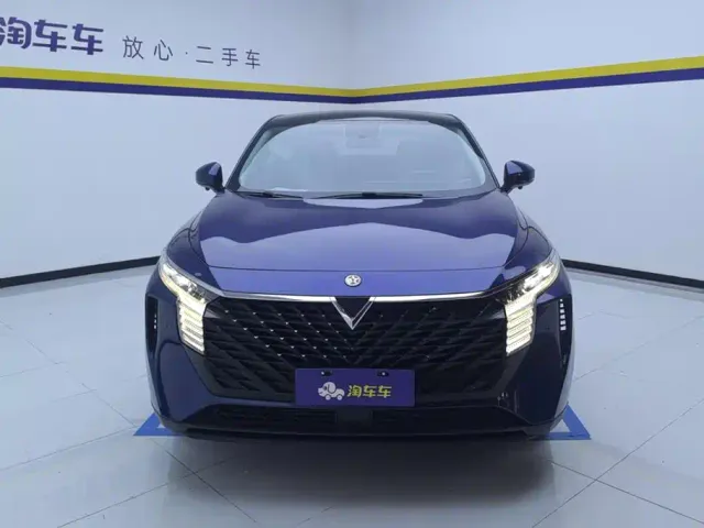 Venucia Venucia Big V 2021 260T Idol Edition — Фото автомобиля 2