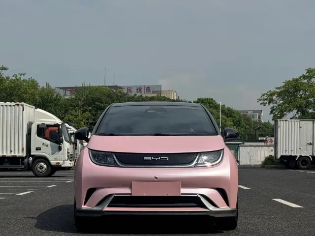 BYD Dolphin — Фото автомобиля 2
