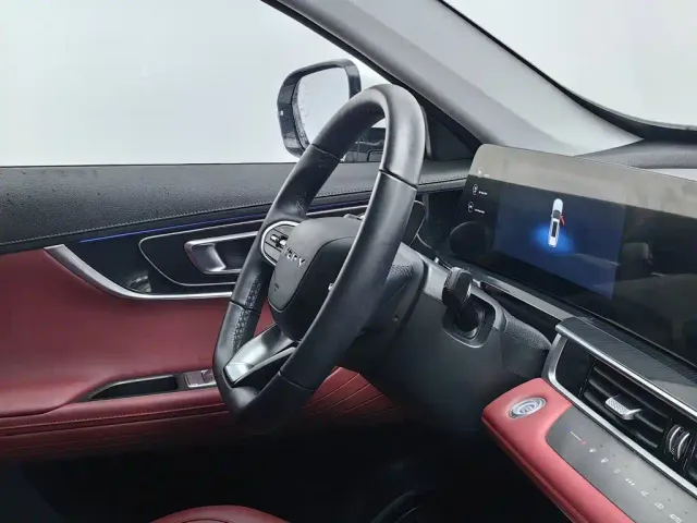 Chery Tiggo 7 PLUS — Фото автомобиля 22