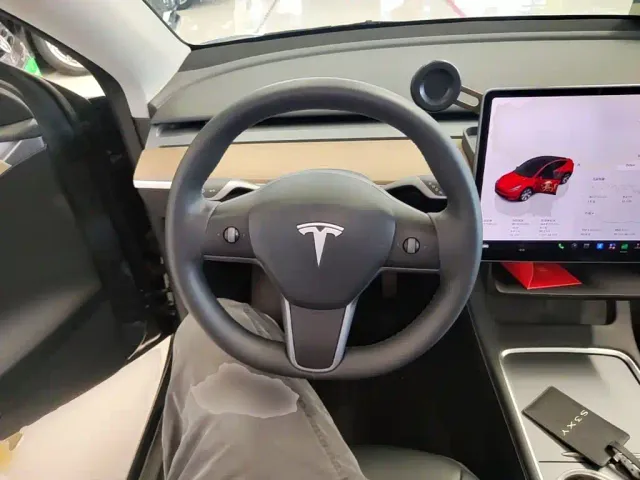 Tesla Model Y — Фото автомобиля 10