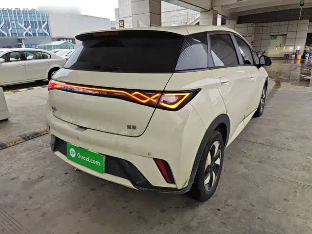 BYD Dolphin — Фото автомобиля 6