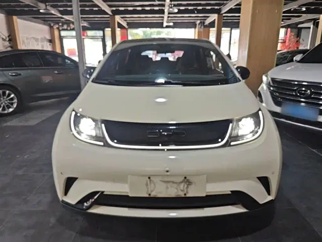 BYD Dolphin — Фото автомобиля 2