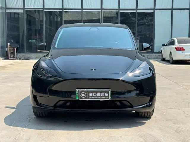 Tesla Model Y — Фото автомобиля 2