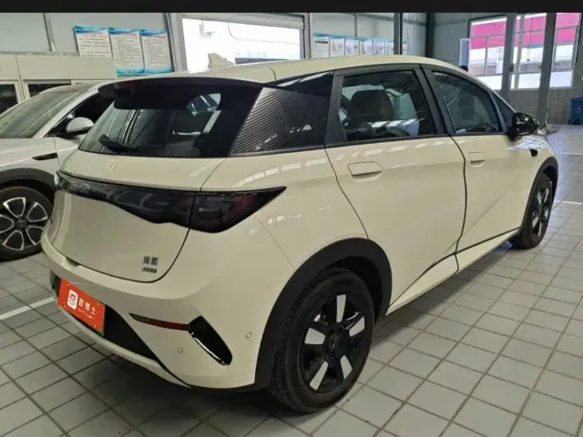 BYD Dolphin — Фото автомобиля 3