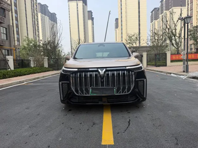 Voyah Auto Voyah Dreamer 2024 PHEV Extended Range Premium Edition — Фото автомобиля 2