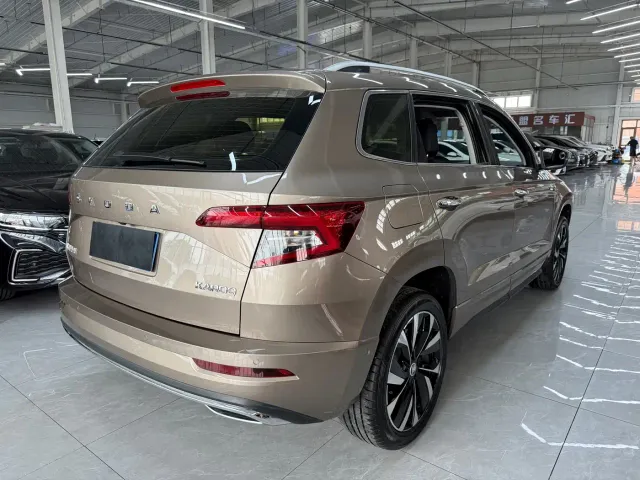 Skoda Karoq — Фото автомобиля 4