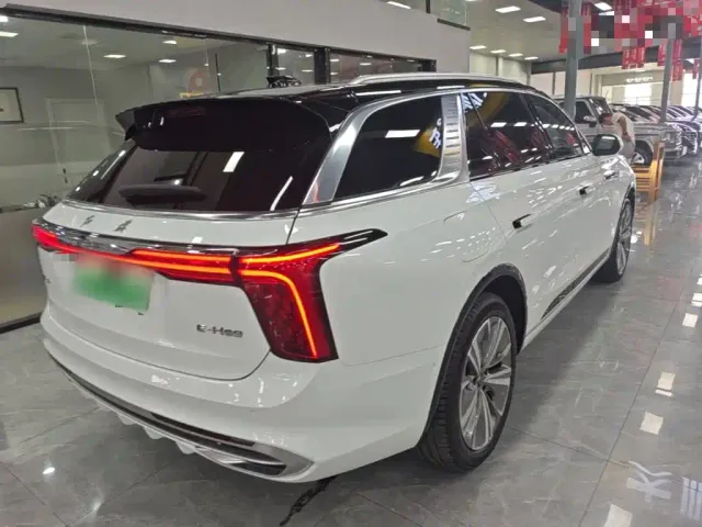 Hongqi E-HS9 — Фото автомобиля 6