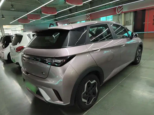 BYD Dolphin — Фото автомобиля 6
