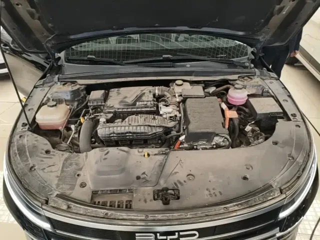 BYD Destroyer 05 2024 Glory Edition DM-i 55KM Luxury — Фото автомобиля 19