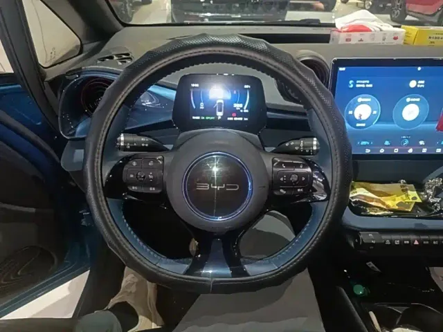 BYD Dolphin — Фото автомобиля 10