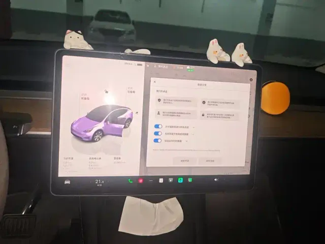 Tesla Model Y — Фото автомобиля 13
