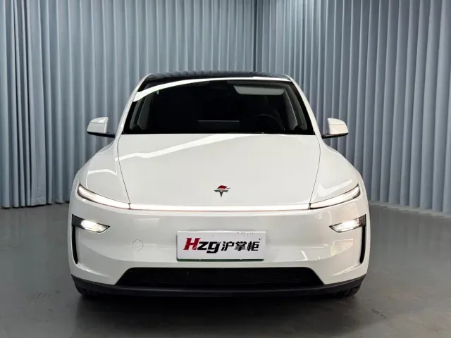 Tesla Model Y — Фото автомобиля 3