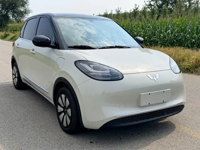 Wuling Motors Wuling Bingo 2023 333km Joyful Version — Фото автомобиля 3