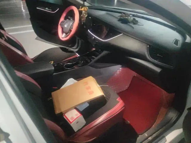 Buick Regal — Фото автомобиля 8