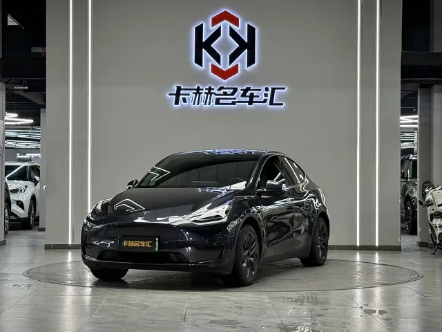 Tesla Model Y — Фото автомобиля 3