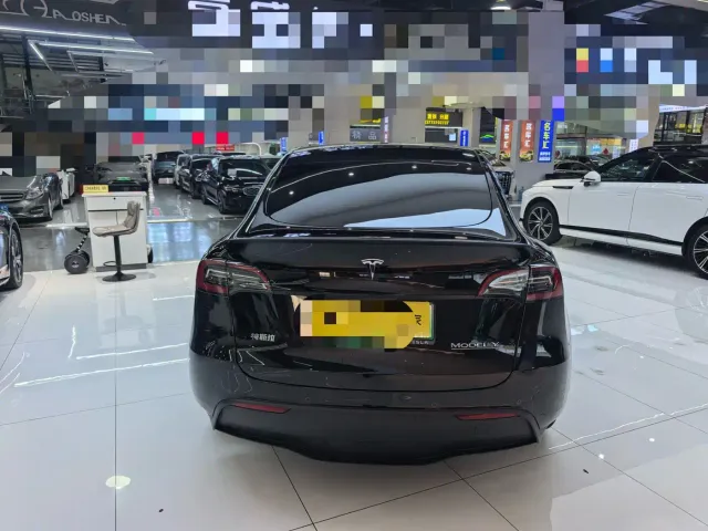 Tesla Model Y — Фото автомобиля 20