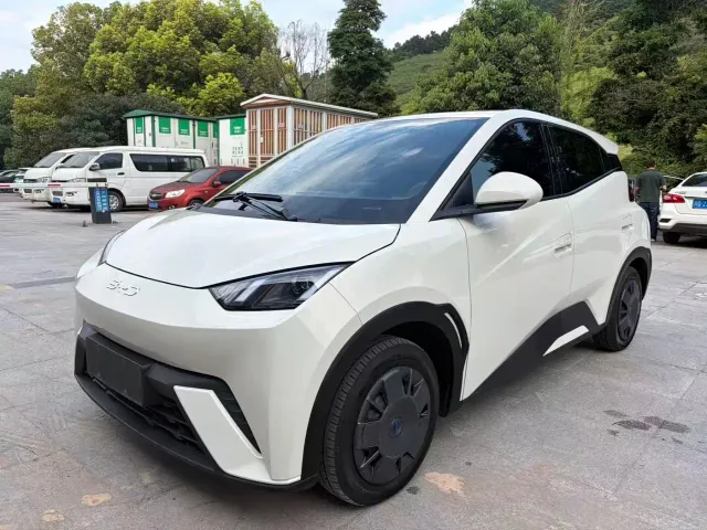 Фотография автомобиля — BYD Seagull