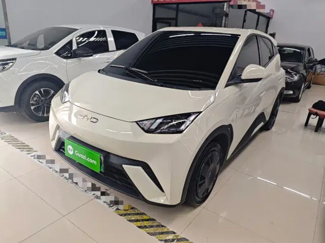 Фотография автомобиля — BYD Seagull
