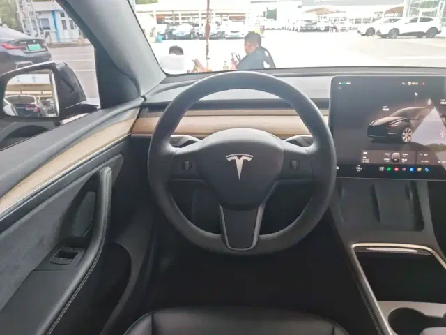 Tesla Model Y — Фото автомобиля 10