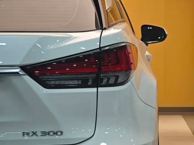 Lexus RX — Фото автомобиля 30