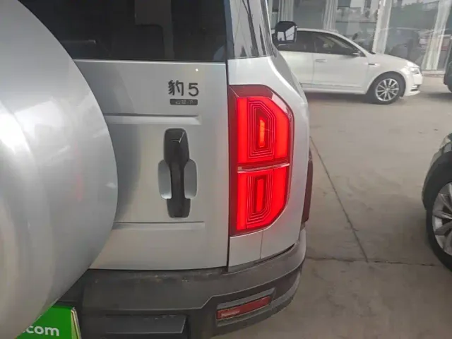 BYD FangChengBao Leopard 5 — Фото автомобиля 7