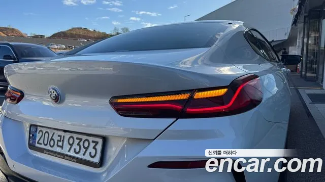 BMW 8 Series — Фото автомобиля 19