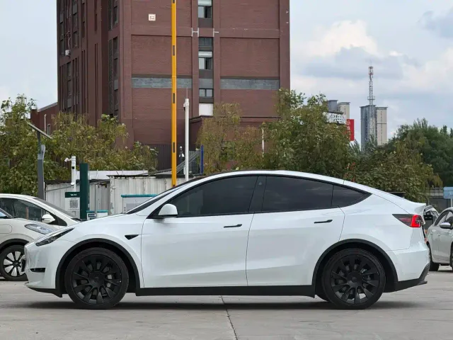 Tesla Model Y — Фото автомобиля 7