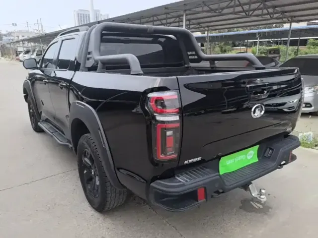 Great Wall Pao 2021 2.0T Off-Road Automatic Diesel 4WD Everest Edition GW4D20M — Фото автомобиля 4