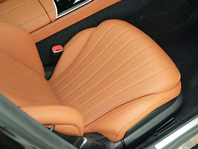 Mercedes-Benz S-Class — Фото автомобиля 14