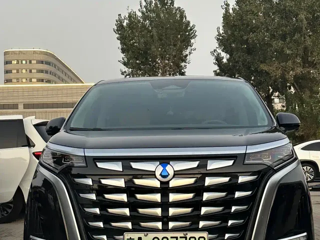 Denza D9 — Фото автомобиля 2