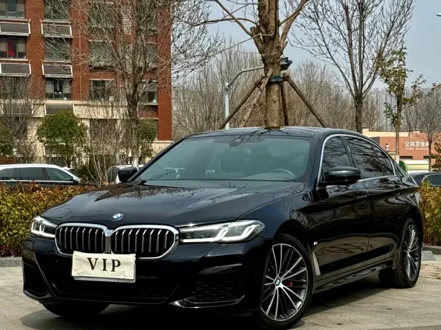 BMW 5 Series — Фото автомобиля 29