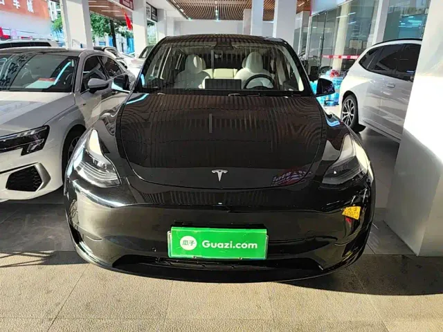 Tesla Model Y — Фото автомобиля 2