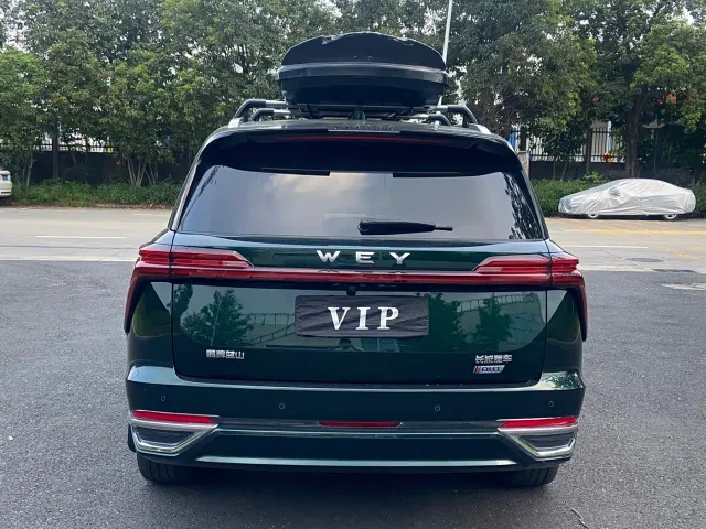 Wey Lanshan — Фото автомобиля 4