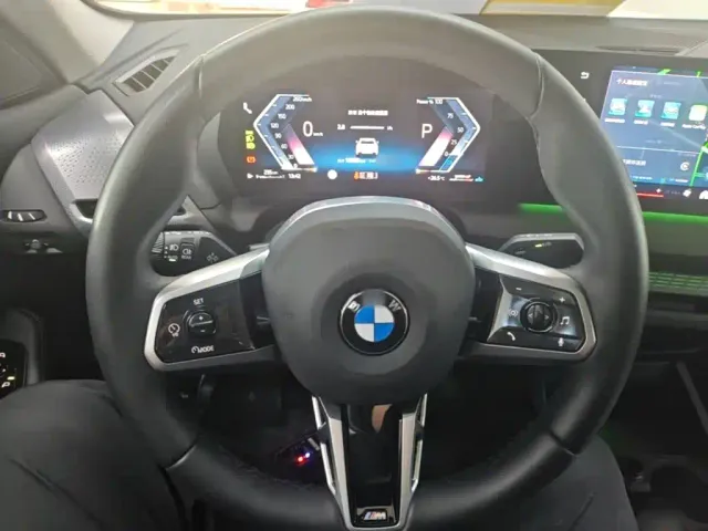 BMW 2 Series — Фото автомобиля 10