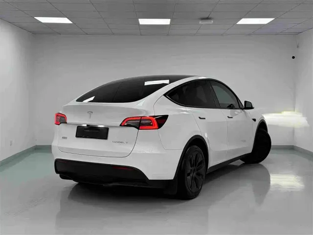 Tesla Model Y — Фото автомобиля 17