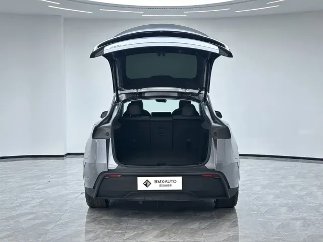 Tesla Model Y 2025 Facelift Long Range All-Wheel Drive — Фото автомобиля 3