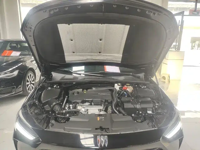 Buick Regal — Фото автомобиля 19