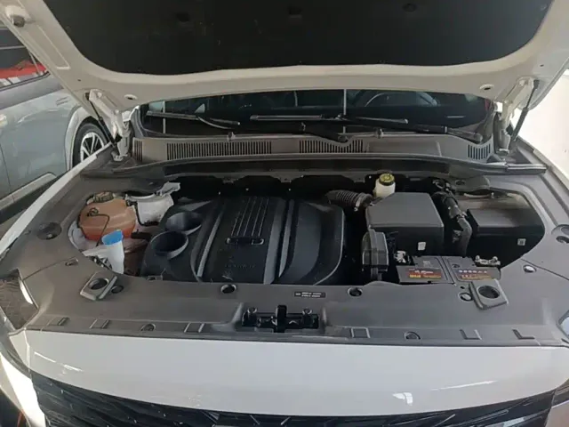 Geely Boyue — Фото автомобиля 19