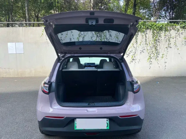 Geely Starry Wish — Фото автомобиля 6