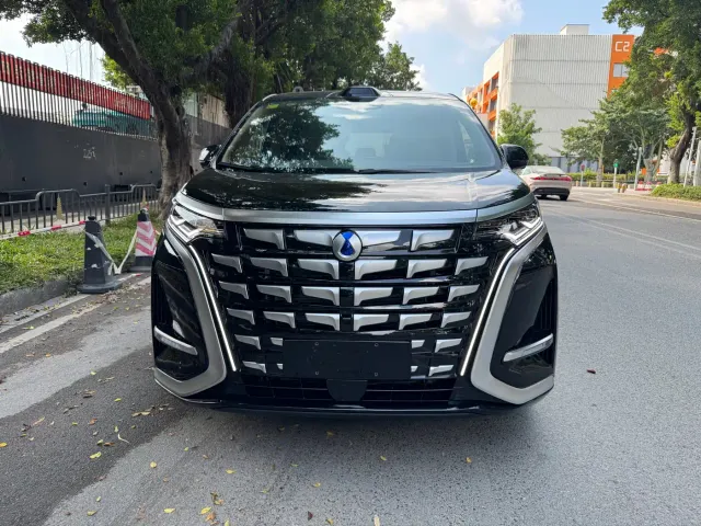 Фотография автомобиля — Denza D9