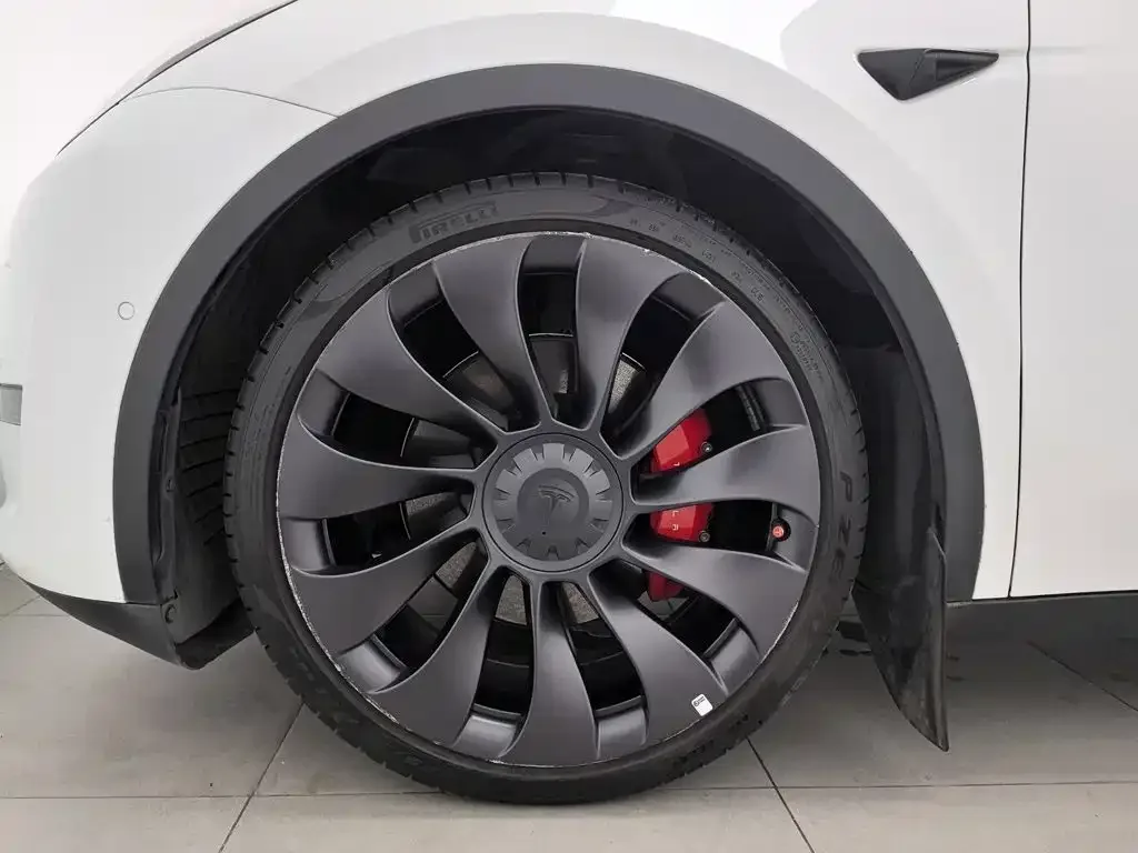 Tesla Model Y 2021 Performance High-Performance AWD — Фото автомобиля 17