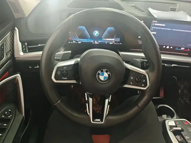 BMW X1 — Фото автомобиля 10